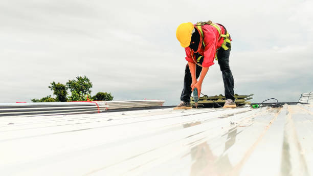 Best Gutter Installation and Repair  in East Norwich, NY